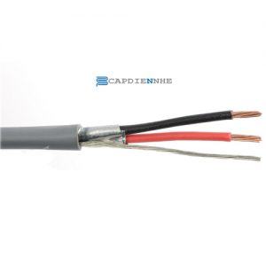 Cáp Tín Hiệu Belden Control RS485 1 Pair Cable (24AWG) 9841