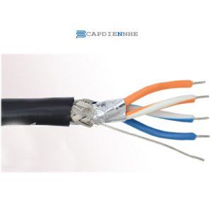 Cáp Tín Hiệu Belden Control RS485 2 Pair Cable (24AWG) 9842